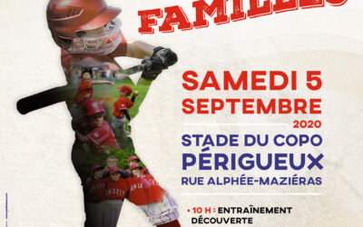 AFFICHE Baseball