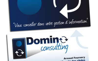 CARTE DE VISITE Domino Consulting