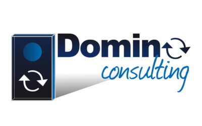 LOGO « Domino Consulting »