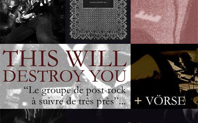 FLYER THIS WILL DESTROY YOU