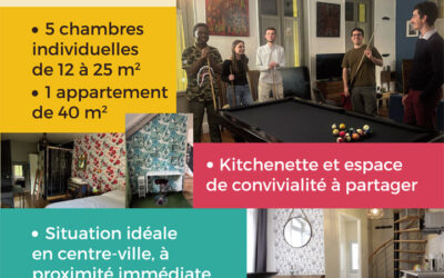 LOGO et FLYER Petit Cocon