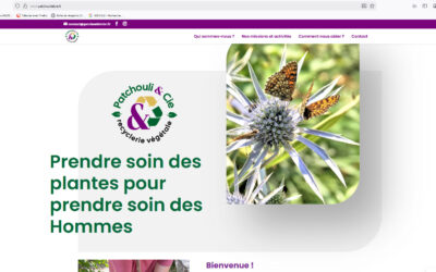 SITE INTERNET Patchouli & Cie